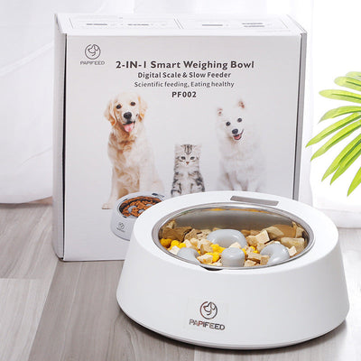 Automatic Pet Feeder